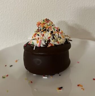 アイスクリーム乗せ　生　チョコパイ