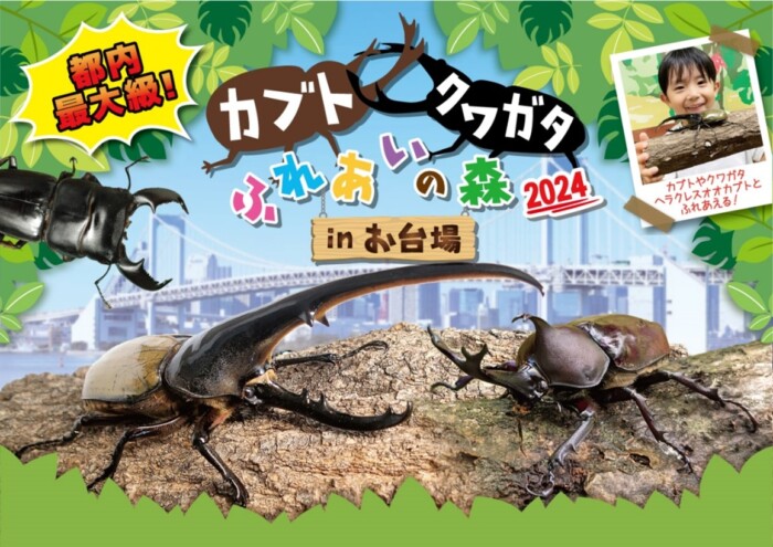 モニター募集！東京・台場で開催される都内最大級の昆虫イベント「カブト・クワガタ ふれあいの森 in お台場 2024」ペア入場券2組×4名様を無料ご招待！  | ママノワ